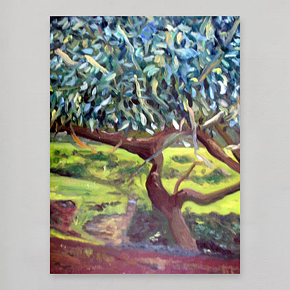 willow tree
